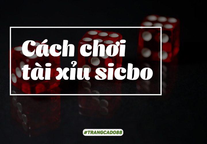 Cách chơi tài xỉu sicbo hiệu quả