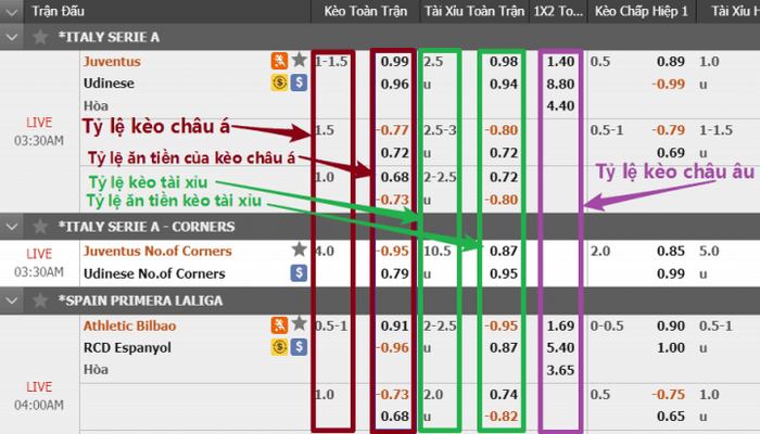 Cách xem tỷ lệ kèo nhà cái dễ hiểu nhất